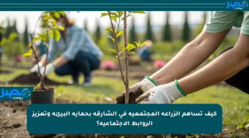 كيف تساهم الزراعة المجتمعية في الشارقة بحماية البيئة وتعزيز الروابط الاجتماعية؟